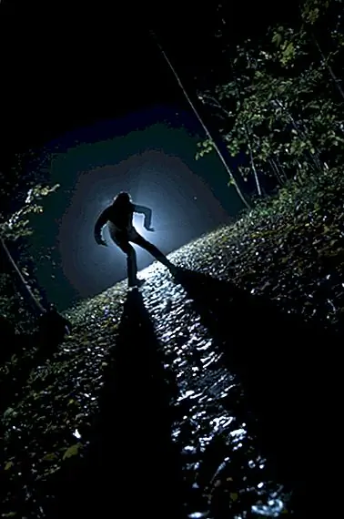 Краткий обзор оборотня через историю