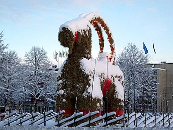 Рождественская странность: гигантский соломенный козел в Швеции, который люди пытаются сжечь каждый год