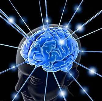 Алкоголь не убивает клетки мозга