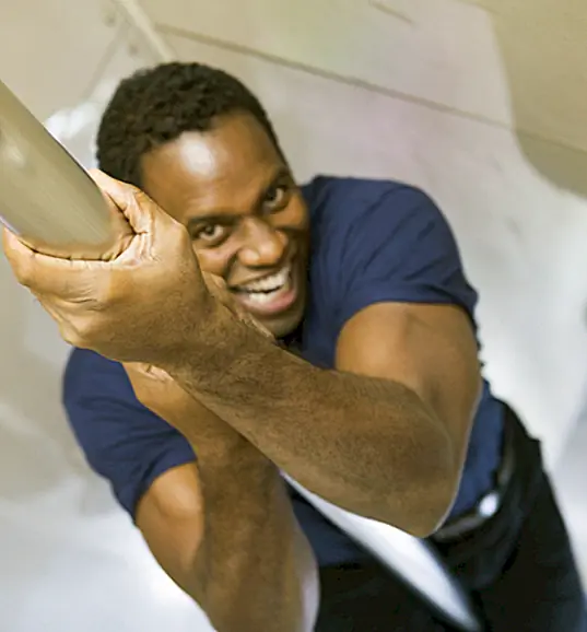 Поляки Повелителя Повелителя Действительно Вещь?