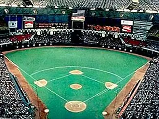 Первоначально AstroTurf был назван «ChemGrass» до того, как его использовали Бейсбольная команда Houston Astros