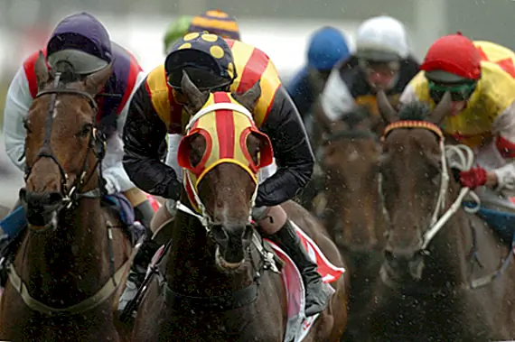 Барни Керли и «Желтый Сэм»