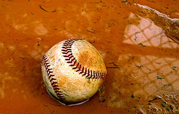 Бродячий грязный бизнес и как это может закончиться