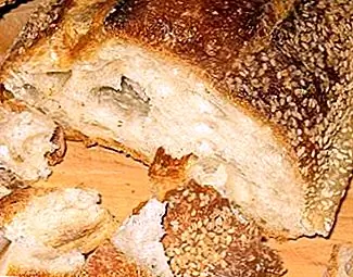 Хлеб идет старомодным Около шести раз быстрее в холодильнике, чем при комнатной температуре