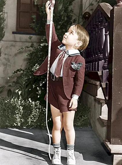 Кофеин не останавливает свой рост