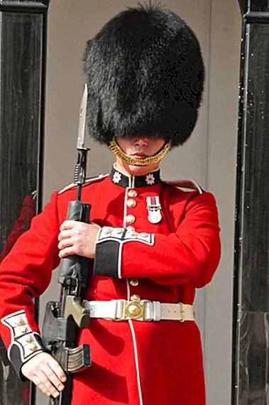 Может ли гвардия королевы действительно не реагировать на людей во время пошлин?