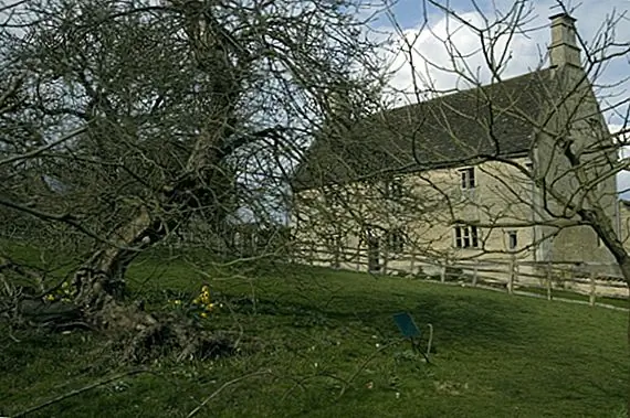 У Ньютона действительно было яблоко, падающее на его голову, вдохновляющее на то, чтобы он поднялся со своей теорией о гравитации?