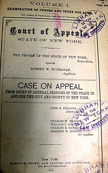 Д-р Роберт Бьюкенен, убийство и убийство кота в суде
