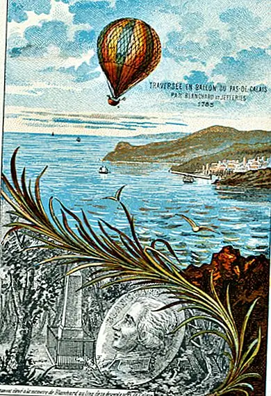 Кустарник истории: аэрозоны