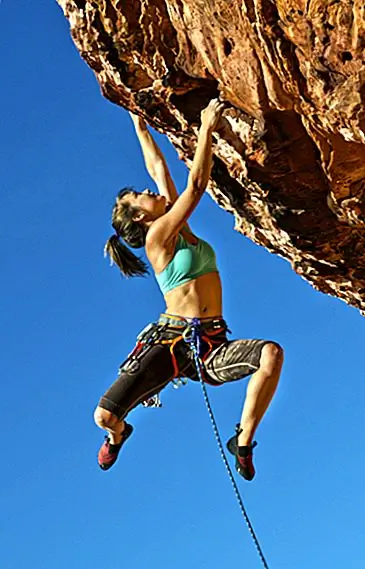 Пальцы не содержат мышцы