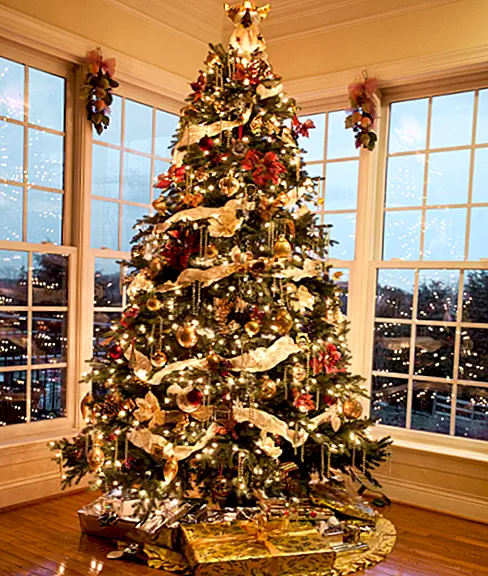 Фокс-моча и кража рождественской елки