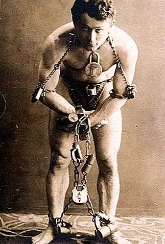 Гарри Гудини пилотировал первый самолет, пролетавший над Австралией