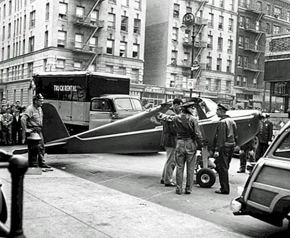 Держи мое пиво - рассказ о Томми Фитце и его пьяную ставку