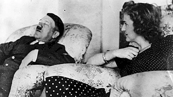 Как метеоризм Гитлера, возможно, помог в конце Второй мировой войны раньше, чем в противном случае