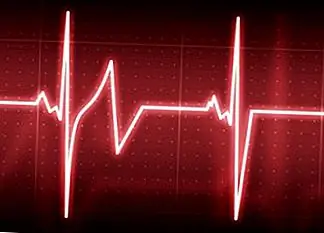 Как работает Сердце