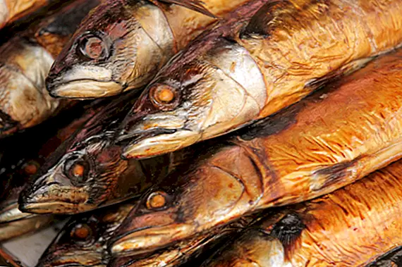 Как фраза «Красная сельдь» пришла к значению чего-то, что вводит в заблуждение