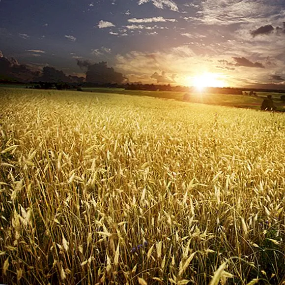 Как была измерена скорость света