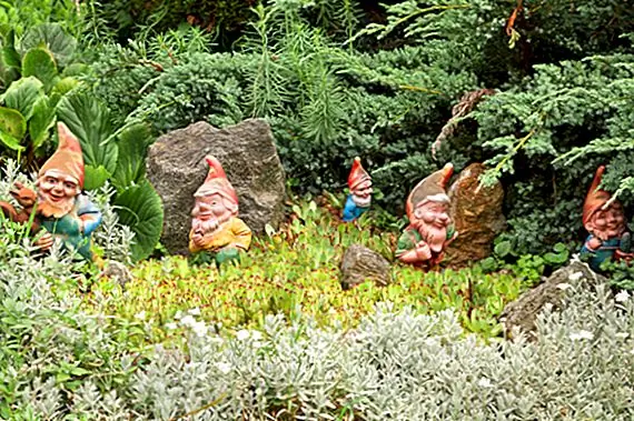 Как началась традиция введения гнома в ваш сад