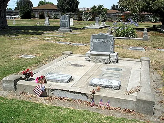 Как выжить, будучи похороненным живым в гробу