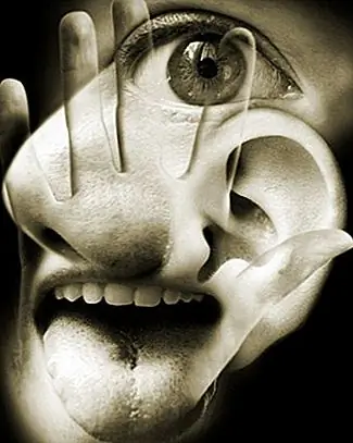 У людей есть намного больше пяти чувств