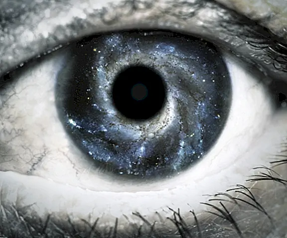 В котором мы обсуждаем разнообразие увлекательных затмений. Связанные факты для вашего чтения