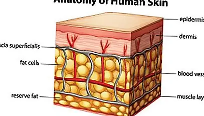 Целлюлит отличается от обычного жира?