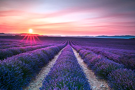 Является ли S или C тихим в запахе?