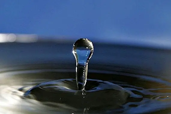 Это не обязательно, чтобы пить по крайней мере восемь очков воды. День, чтобы оставаться надлежащим образом гидратированным