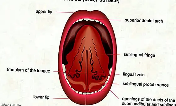 Нельзя глотать свой язык