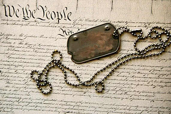 Это жизнь собаки.