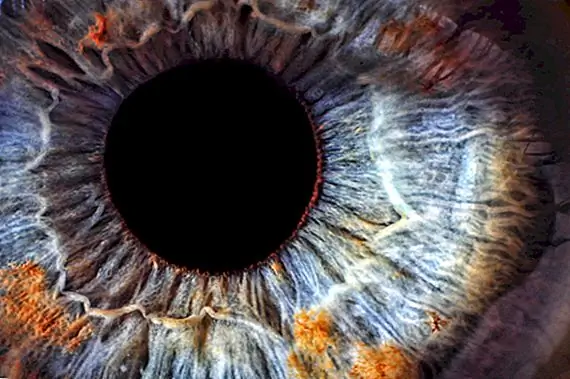 Джейн Эллиот и синеглазый детский эксперимент