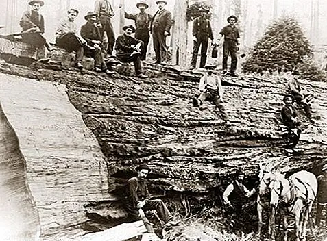 Прыжки французов из штата Мэн