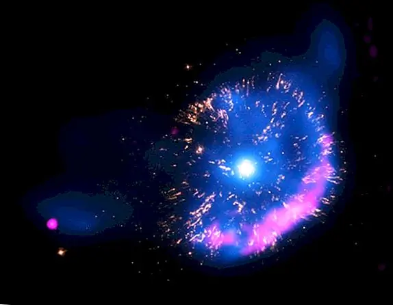 Создание науки с 1974 года