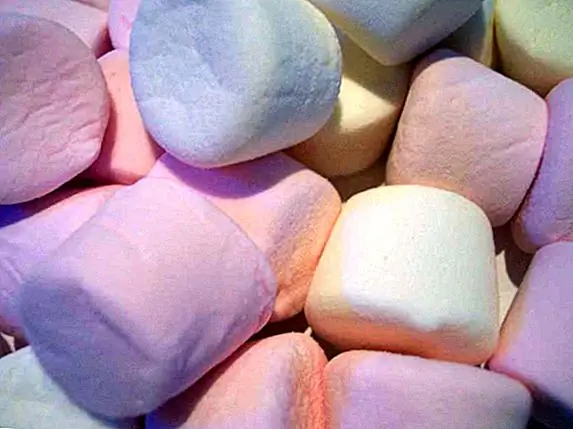 Зефиры были сделаны из соуса растения Зефира