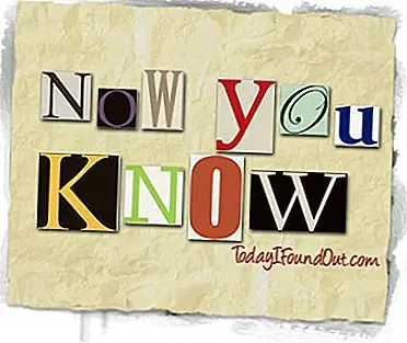 Почему Poop Is Brown