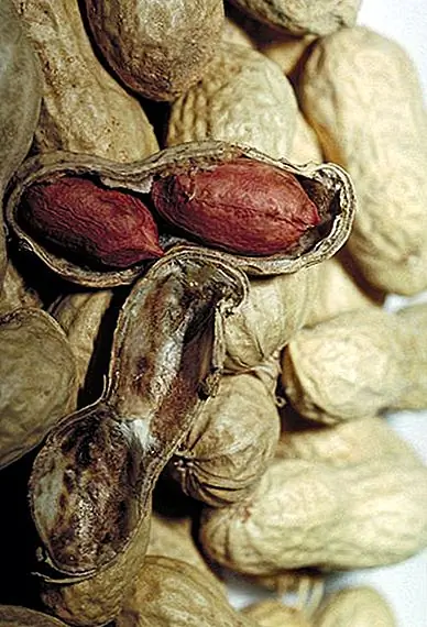 Арахис не орехи