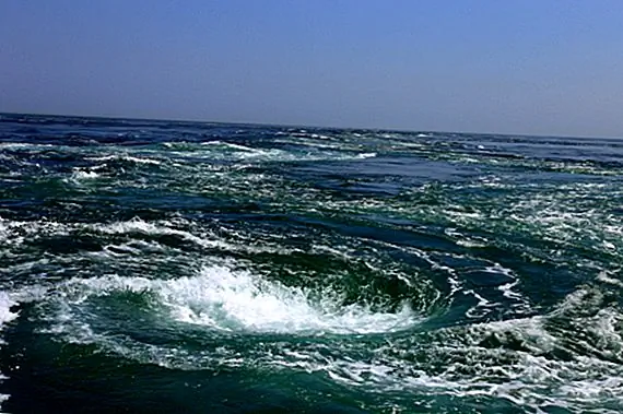 Реальные жизни Maelstroms