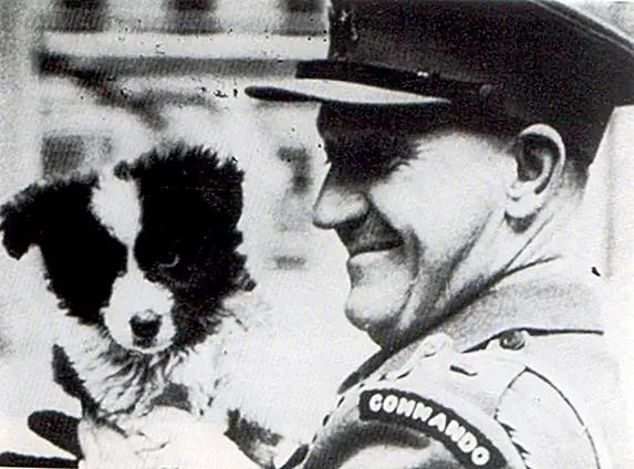 Роджер Кортни и водянистый гэмбли - создание SBS