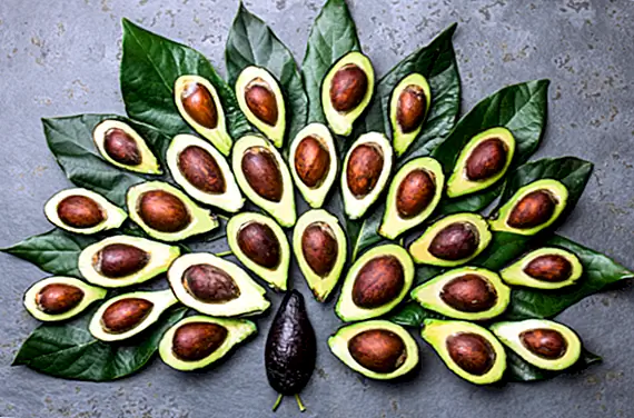 Секреты авокадо