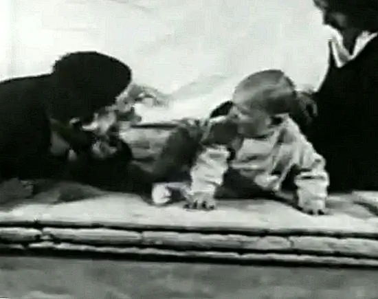 Ужасающие пушистые кролики и маленький эксперимент Альберта