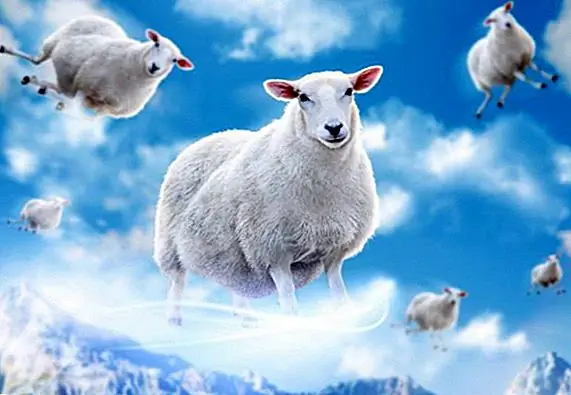 В это время итальянские военные экспериментировали с парашайпом