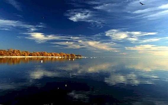 Случайное создание Салтонского моря