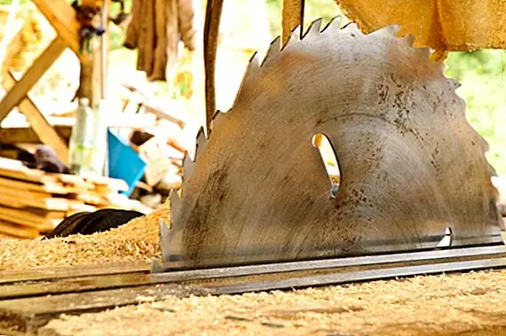 Круглая пила и женщина-шейкер