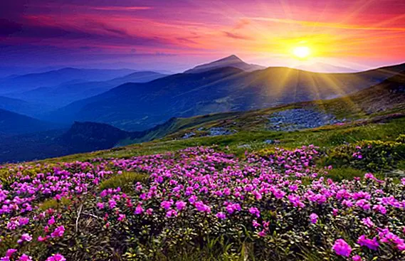 Цвет Розовый не существует? Так почему мы можем это увидеть?