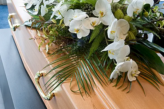 Любопытный случай рождения кофила