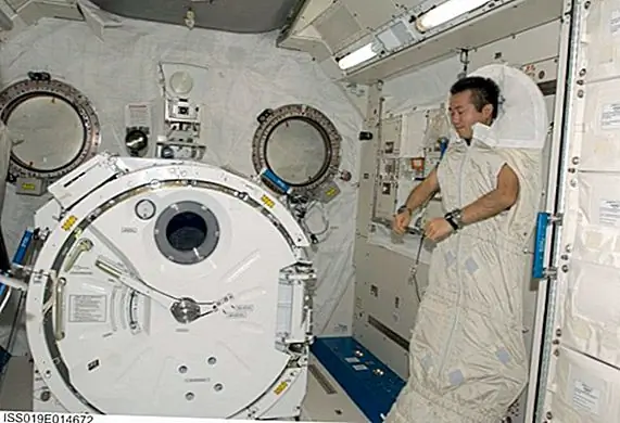 Любопытный случай пиллаунов