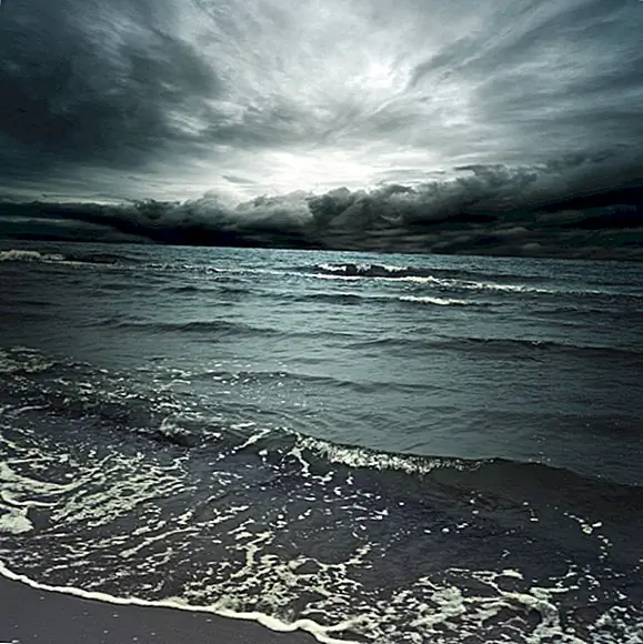 День, когда свет вышел