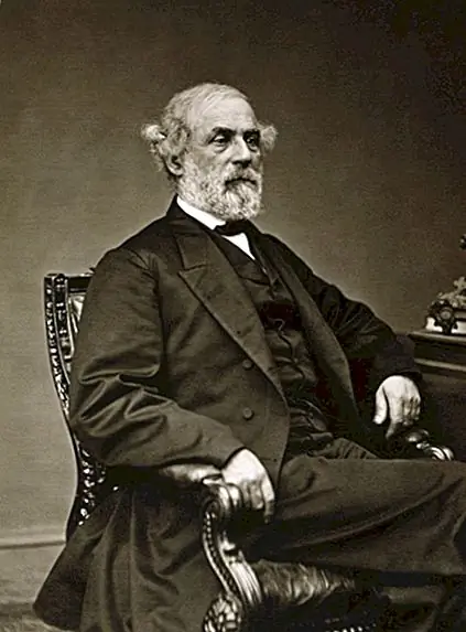 Трудные решения Роберта Ли Ли