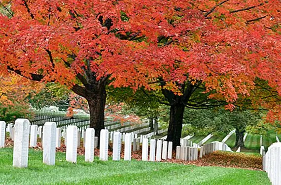 Увлекательное происхождение Арлингтонского национального кладбища