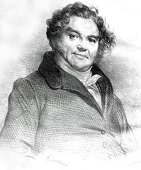 Первый детектив